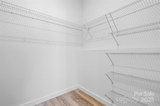 walk in closet featuring hardwood / wood-style flooring