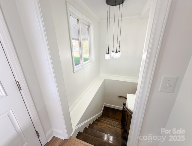 staircase with baseboards, wood finished floors, and crown molding