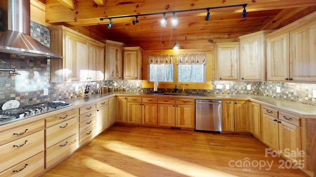 714 Heartwood Dr, Marion, NC 28752 - kitchen featuring stainless steel appliances, wall chimney range hood, rail lighting, light wood-style flooring, and backsplash