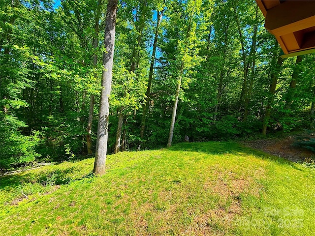 714 Heartwood Dr, Marion, NC 28752 - view of green lawn