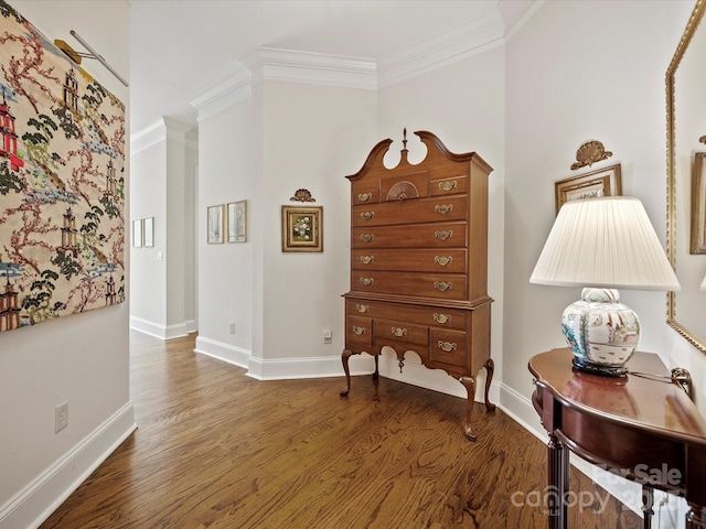 interior space with crown molding and dark hardwood / wood-style floors