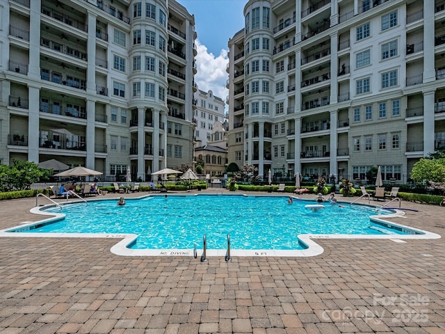 view of pool with a patio area