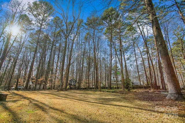 14264 Maple Hollow Ln, Mint Hill, NC 28227 - photo 34