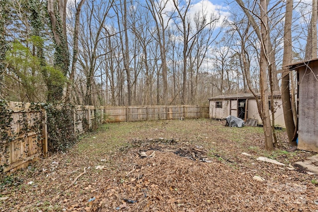 view of yard featuring a shed