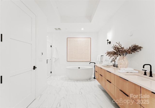 bathroom with vanity, a tray ceiling, and a bathing tub