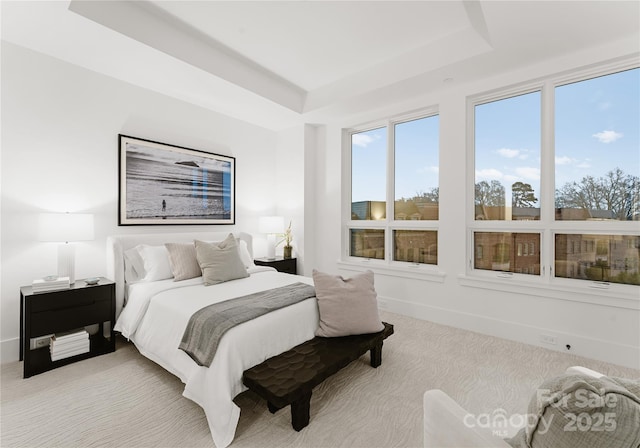 carpeted bedroom with a raised ceiling