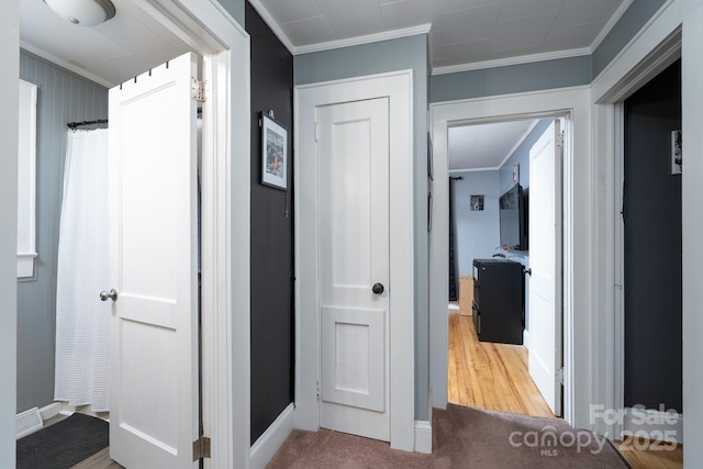 hall with ornamental molding and carpet floors