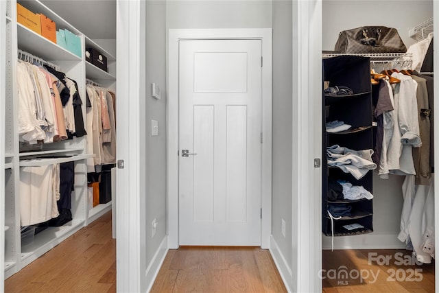 walk in closet featuring light wood-type flooring