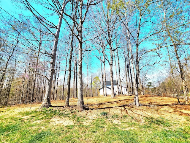 306 Bluegill Ln, Statesville, NC 28625 - view of yard with a forest view