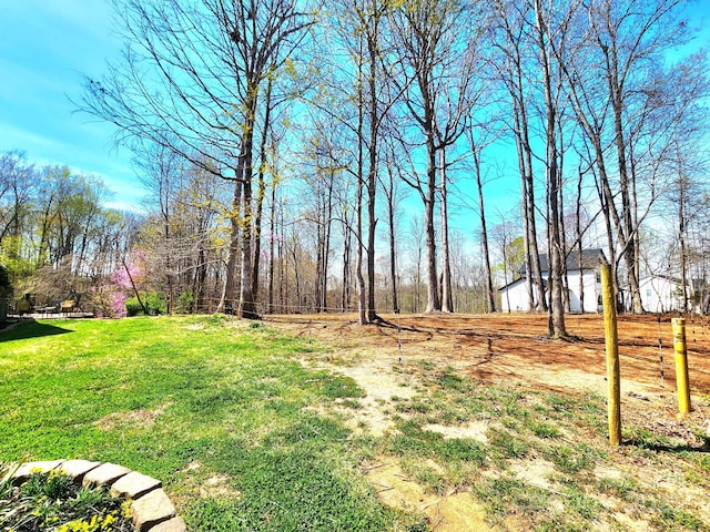 306 Bluegill Ln, Statesville, NC 28625 - view of yard