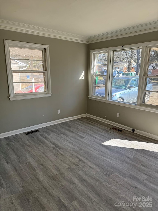 spare room with ornamental molding and a healthy amount of sunlight