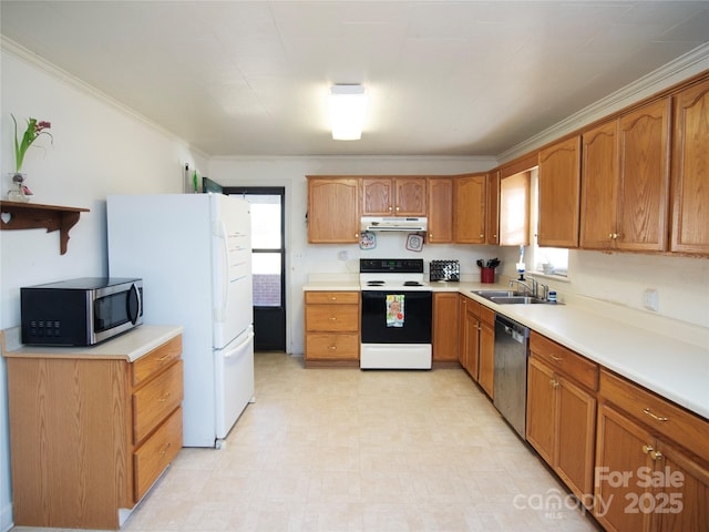 kitchen featuring white appliances, a healthy amount of sunlight, sink, and ornamental molding