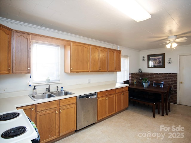 kitchen featuring dishwasher, plenty of natural light, sink, and white range with electric cooktop