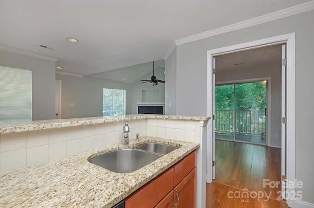 kitchen featuring tasteful backsplash, sink, light stone counters, crown molding, and dark wood-type flooring