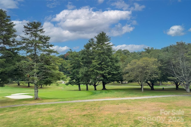 view of community featuring a lawn