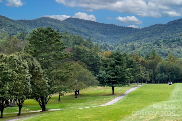 view of property's community featuring a mountain view and a yard