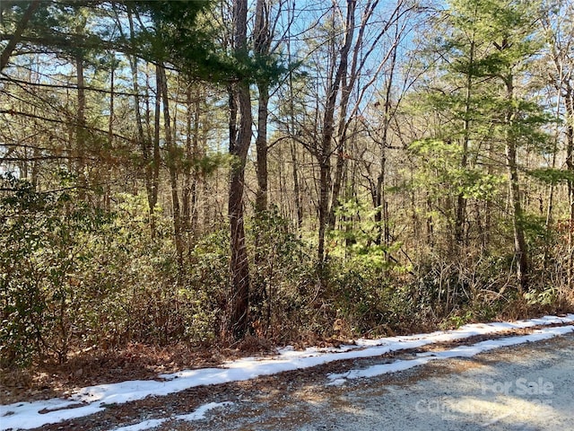 LOT18 Oak Ridge Dr Unit 18, Brevard NC, 28712 land for sale