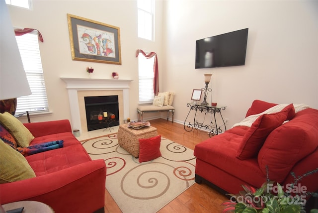 living room featuring light hardwood / wood-style floors