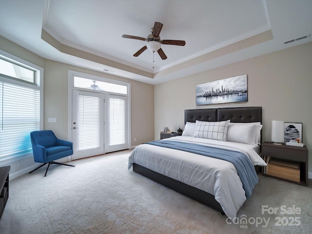 bedroom with multiple windows and a tray ceiling