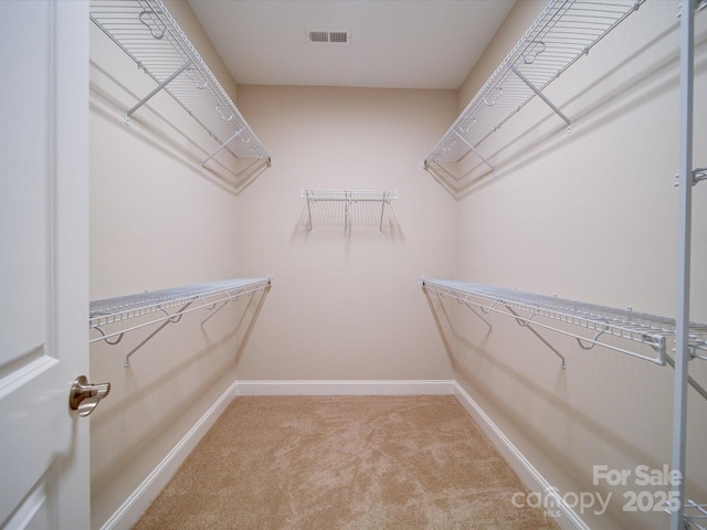 spacious closet featuring light carpet