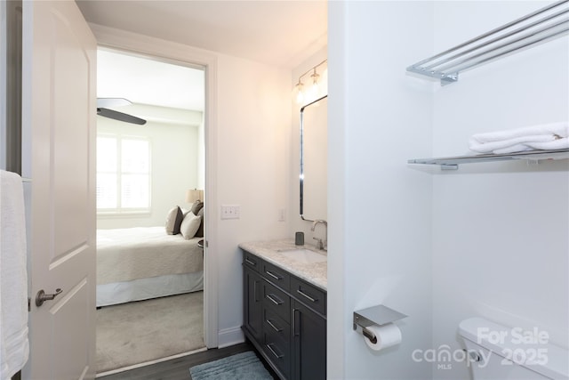 bathroom featuring wood-type flooring, toilet, and vanity