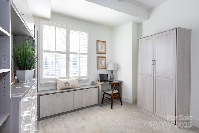 carpeted home office with a wealth of natural light