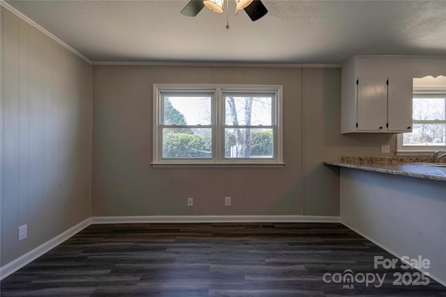 unfurnished dining area featuring crown molding, ceiling fan, and dark hardwood / wood-style flooring