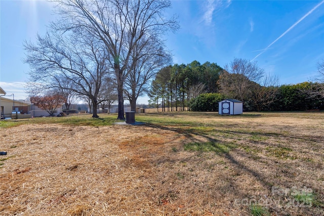 view of yard with a storage shed