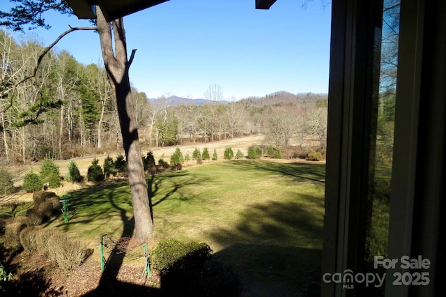 view of yard featuring a mountain view