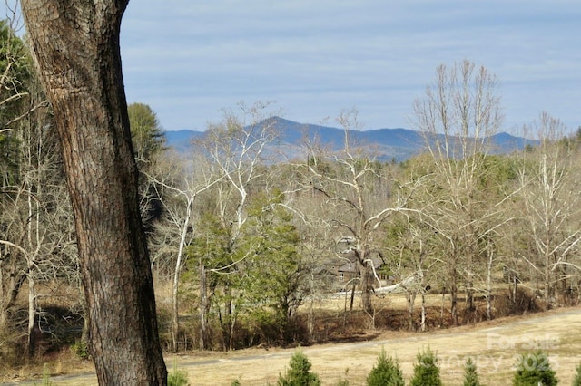 view of mountain feature