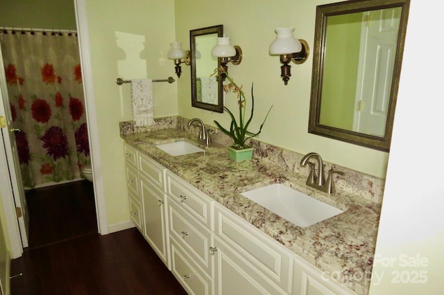 bathroom with vanity, wood-type flooring, and toilet