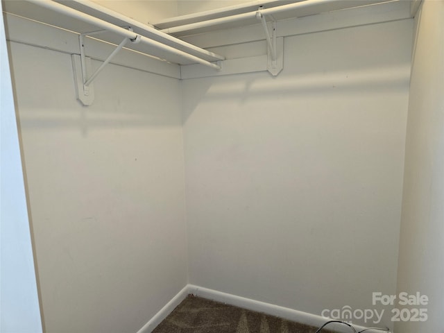 spacious closet with carpet