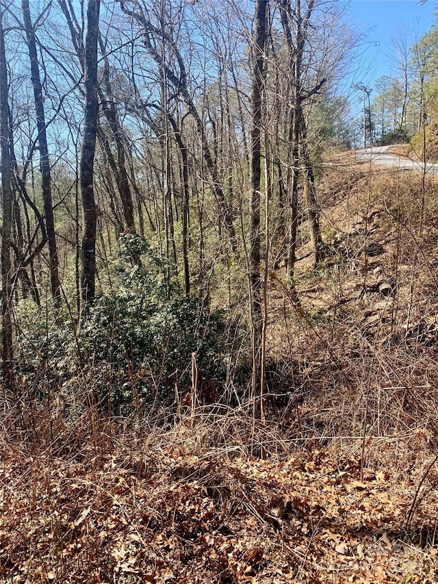 LOTS62 Oak Laurel Rd Unit 62, 63, Brevard NC, 28712 land for sale