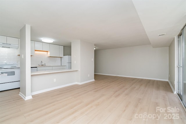 unfurnished living room with light hardwood / wood-style floors and sink