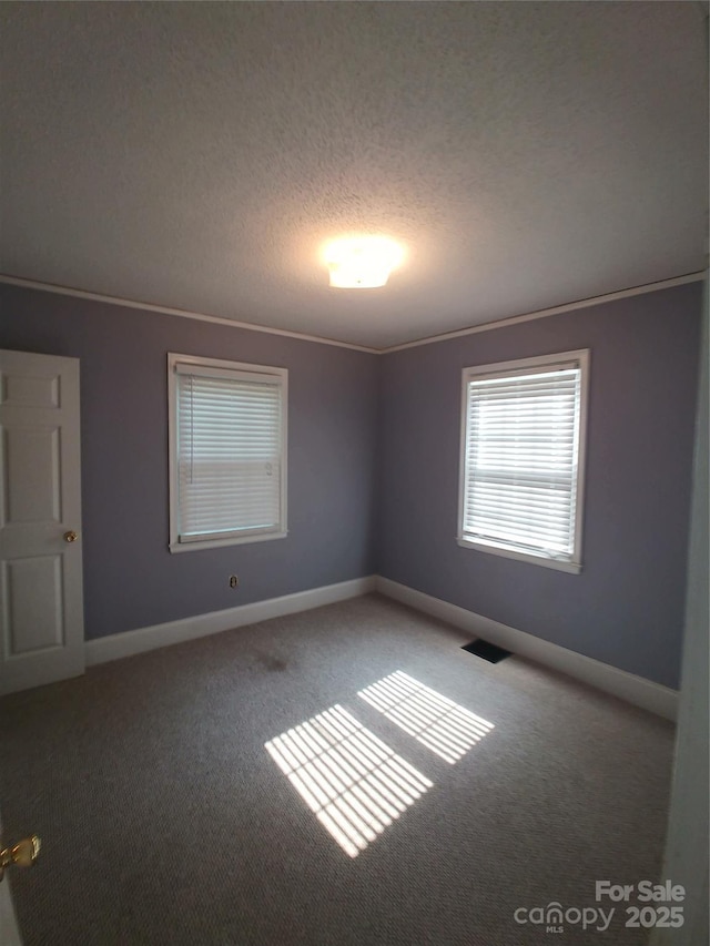 spare room with ornamental molding and carpet flooring