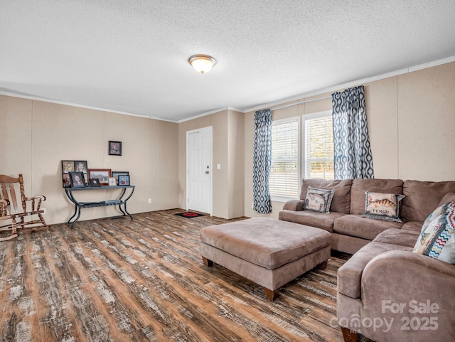 living room with wood-type flooring, ornamental molding, and a textured ceiling