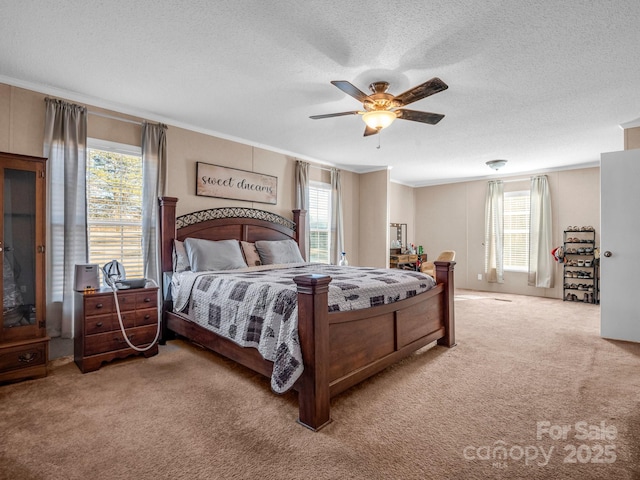 bedroom with multiple windows, ornamental molding, carpet floors, and ceiling fan