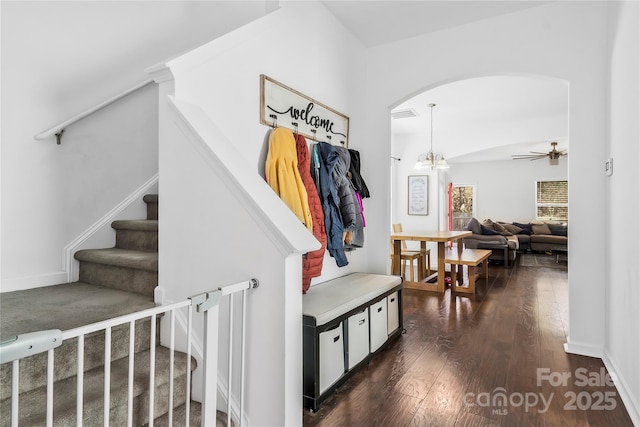 mudroom with ceiling fan with notable chandelier and dark hardwood / wood-style flooring