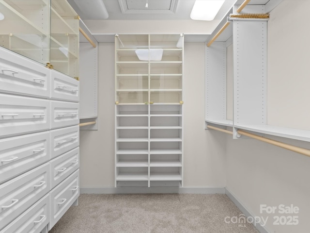 walk in closet with light carpet