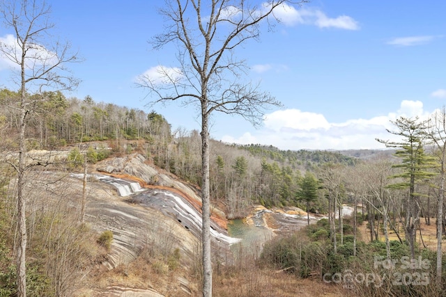 view of nature featuring a wooded view