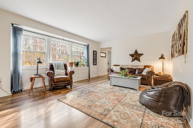 living room featuring hardwood / wood-style flooring