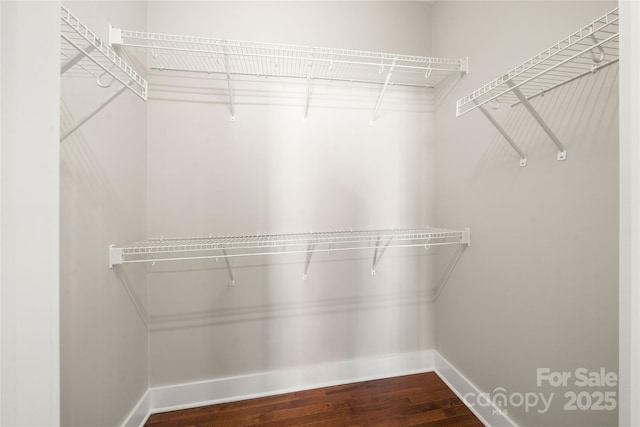 spacious closet featuring wood-type flooring