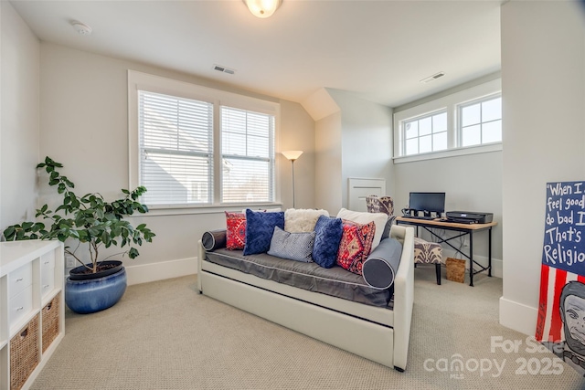 living room featuring light colored carpet