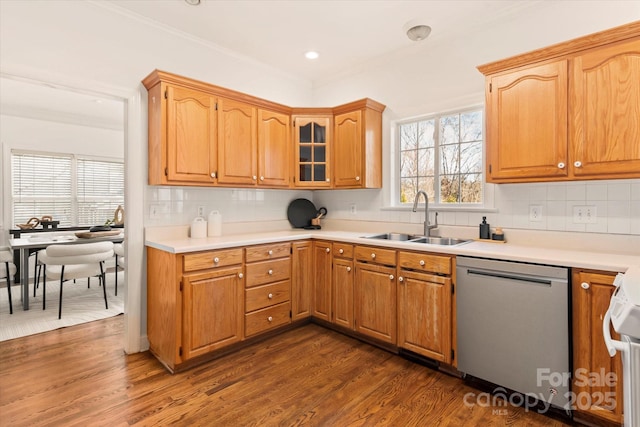 kitchen featuring sink, stainless steel dishwasher, dark wood-type flooring, and decorative backsplash