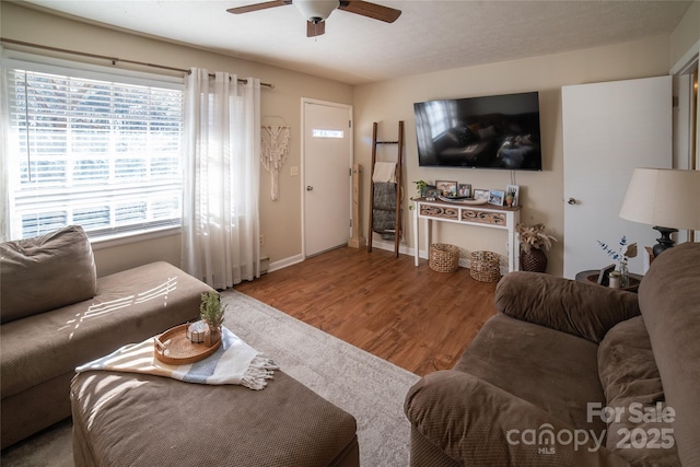 living room with wood-type flooring and ceiling fan