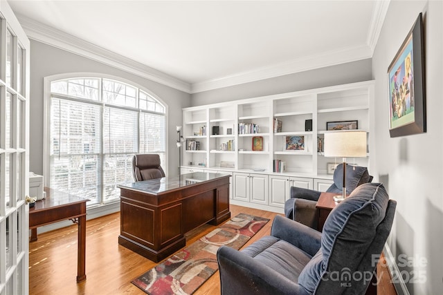 office featuring ornamental molding and light hardwood / wood-style floors