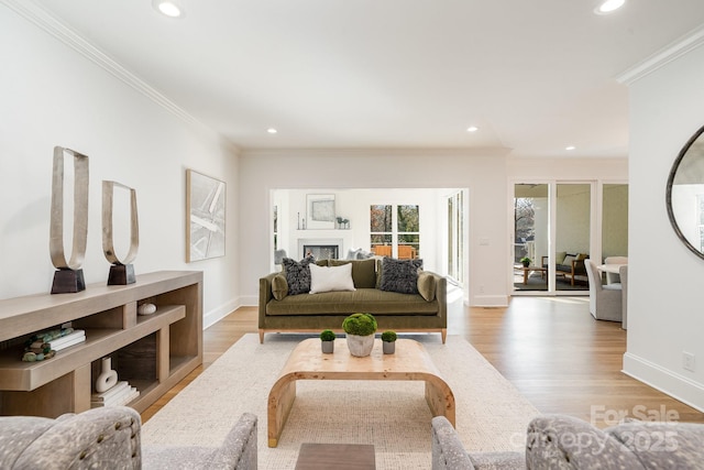 living room with ornamental molding and light hardwood / wood-style flooring