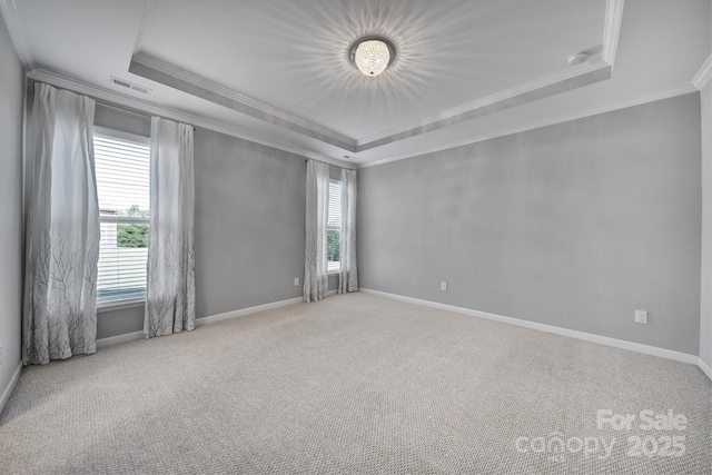 unfurnished room with a raised ceiling, crown molding, and carpet