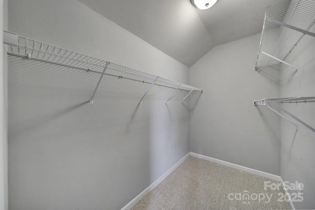 spacious closet with lofted ceiling and carpet floors