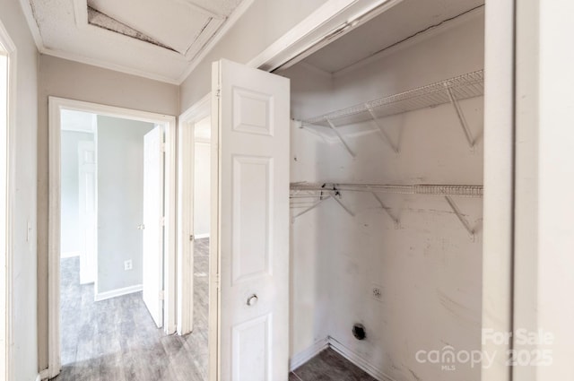 laundry room with electric dryer hookup and wood-type flooring